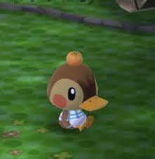 Pin By Jennie On U W U In 2020 Animal Crossing Funny Animal Crossing Game Animal Crossing Villagers