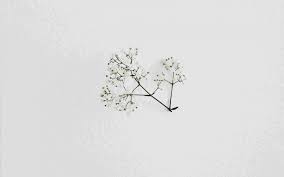 Minimalist Retro Desktop Wallpaper Aesthetic Page 1 Line 17qq Com We have a massive amount of desktop and mobile if you're looking for the best aesthetic wallpapers then wallpapertag is the place to be. minimalist retro desktop wallpaper