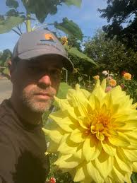 What are the best dahlia varieties for growing and arranging?