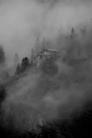 Creepy Pictures Hd Download Free Images On Unsplash Foggy Forest Dark Academia Photos Creepy Pictures