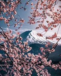 Rkrkrk Via Somewhere Travels Somewheremagazine Japan Travel Japan Photography Travel Japan Spring