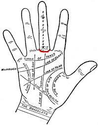 Palm Reading Diagram List Of Wiring Diagrams