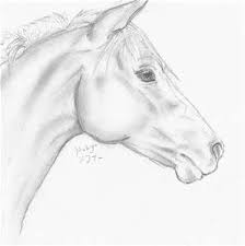 Pencil Drawings Of Horses Heads Bing Images Horse Art Horse Drawings Horse Sketch