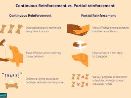How Reinforcement Schedules Work