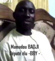 Le député Mamadou Badji éteint un feu. - 5192809-7747977