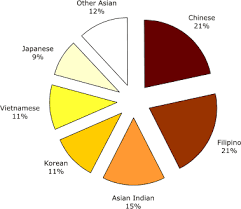 48 comprehensive united states population by race pie chart