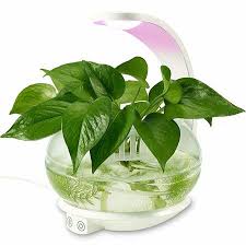 We did not find results for: The 18 Best Grow Lights For Your Plants