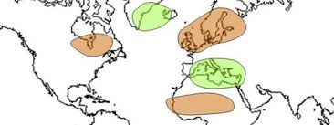 Image result for Thomandersia butayei