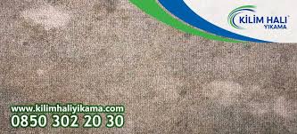 Küf lekesi bir giyside oluştuğunda, kolaylıkla diğer giysilere de bulaşabilir. Halidan Kuf Lekesi Nasil Cikar Cozuldu Kapsamli Rehber