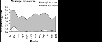 Image result for Musanga leo-errerae