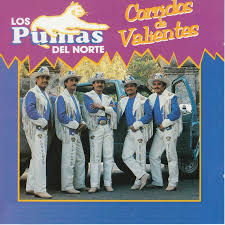 Después de ser una de las figuras del jaguares xv campeón de la última edición de. Para Ser Traficante Song By Los Pumas Del Norte Spotify