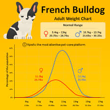 French bulldog's origin, price, personality, life span, health, grooming, shedding, hypoallergenic, weight, size & more french bulldog information & dog breed facts. French Bulldog Weight Chart 11pets