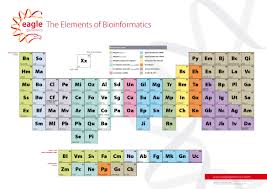 Bioinformatics Periodic Table Nutrigenomics Genome Molecular Biology