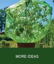 Check spelling or type a new query. The Original Fruit Protection Bag To Protect Your Harvest Anlaufs Fruchtschutz24 De