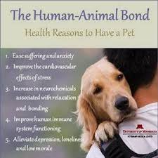 The Human Animal Bond Moral Of The Story Get A Golden Dogs Dog Love Pets