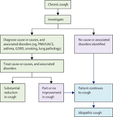 Chronic Cough As A Neuropathic Disorder The Lancet Respiratory Medicine