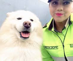 Policía Nacional del Ecuador