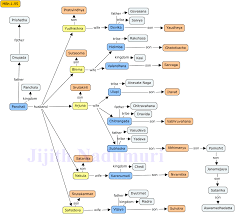 the pandava dynasty ancientvoice