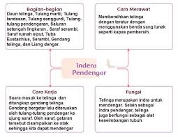 Maybe you would like to learn more about one of these? Kunci Jawaban Buku Kelas 4 Sd Pembelajaran 3 Tema 1 Subtema 2 Robihartoni