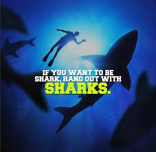 If You Want To Be A Shark Hang Out With Sharks Shark Quotes Shark Millionaire Quotes