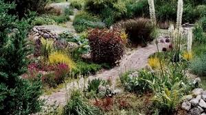 Schattiger Garten Gestalten Youtube