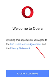 I am ready to spend my money for her! Eula Versus Terms And Conditions Privacy Policies