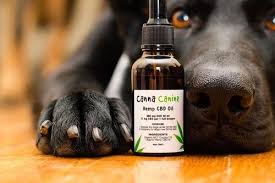 The health effects of hemp you will be thrilled to know that, hemp oil australia can help in promoting an optimal wellness in pets by maintaining their emotional balance and. Cbd Oil For Dogs Australia Cbd Cat Treats 150mg 2mg Per Treat