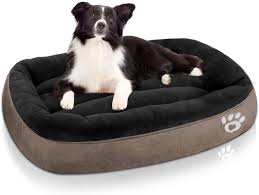 We did not find results for: Tr Pet Dog Bed Large Xl Xxl Xxxl Washable Big Calming Pets Dogs Bed For Small Medium Large Size Dog Breeds Warm Rectangle Couch Bed Non Slip Waterproof Bottom Amazon Ca Pet Supplies