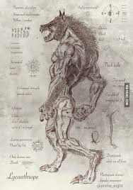 The Lycanthrope Werewolf Art Creature Art Werewolf