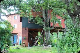 Homer cabins features 4 individual log cabins,a new 4 unit bldg. Cottonwood Cabins Rentals Homer