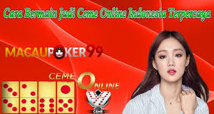 Pin Di Tempat Bermain Judi Dominoqq Online Terbaik Di Indonesia
