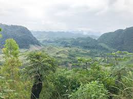 Terkadang kakek itu melakukan gerakan mengusap. Kak Ik Guatemalan Turkey Soup A Taste For Travel