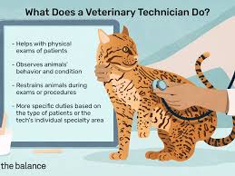 The veterinarian's patients will include dogs, cats, hamsters, rats, birds, and closely related animals. Veterinary Technician Job Description Salary Skills More