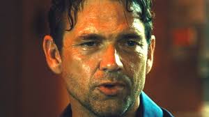 Netflix and third parties use cookies and similar technologies on this website to collect information about your browsing activities which we use to analyse your use of the website, to personalise our. Here S Why Stuart St John From Taken 3 Looks So Familiar