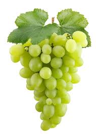 Fruits Name In English Facts Pictures Videos Charts Ira Parenting In 2020 Fruit Names Fruits Name In English Fruits Images