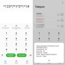 Cara cek kuota xl axiata terbaru 2020. Cara Cek Nomor Kartu Xl Sendiri No Ribet Dan Nggak Pake Lama Hallo Gsm