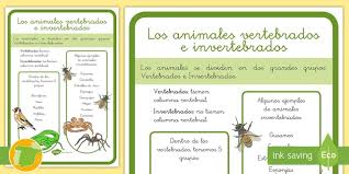 Invertebrado es una palabra que proviene del francés. Hoja Informativa Los Animales Vertebrados E Invertebrados