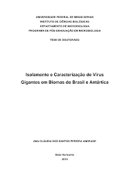 Https Repositorio Ufmg Br Bitstream 1843 31116 1 Tese 20final 20corrigida 20completa Pdf
