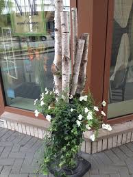 Our indoor/outdoor lighted birch tree makes an stunning accent in any season. Diy Birch Branch Decor Novocom Top