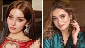 3 Bahadur: Rise of the Warriors" Has Its Grand Premier in Karachi