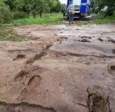 Die heftigen gewitter von dienstag sind bis tief in den abend aktiv. Hagelkorner Und Starkregen Unwetter In Sachsen Und Sachsen Anhalt Bilder Fotos Welt