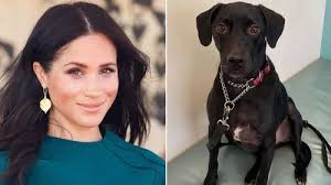 Why Meghan Markle and Harry have moved to LA