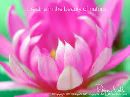 With beautiful red rose flower blossom in garden on blurry background. Inspirational Quotes With Pretty Flowers Quotesgram