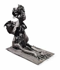 Bildergebnis für Roel D'Haese