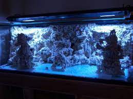 My Diy Rock Foam Reef Reef Central Online Community Saltwater Tank Reef Tank Aquascaping Aquascape