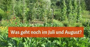 Was im juli wichtig ist. Was Geht Noch Im Juli Und August