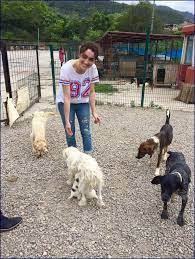 trabzon barosu www trabzonbarosu org tr
