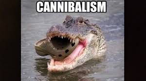See more ideas about animal memes, funny animals, funny animal memes. Funny And Cute Animal Memes Youtube