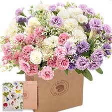 You can learn more about us and our values here. Top 9 Silk Flowers Of 2021 Best Reviews Guide