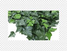 Jika nak biar kan melon menjalar di atas tanah pun boleh. Hedge Terrace Garden Pot Bunga Pohon Menjalar Menggantung Di Jalan Bunga Bermacam Macam Perabot Daun Png Pngwing